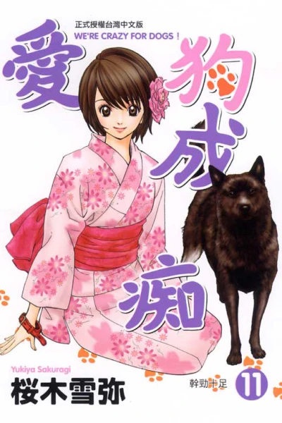Cover of Vol. 11