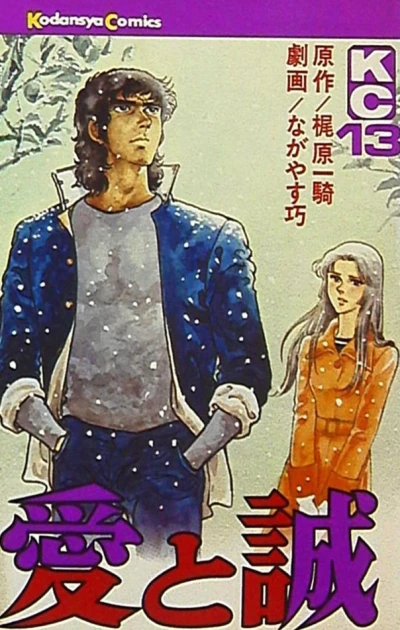 Cover of Vol. 13