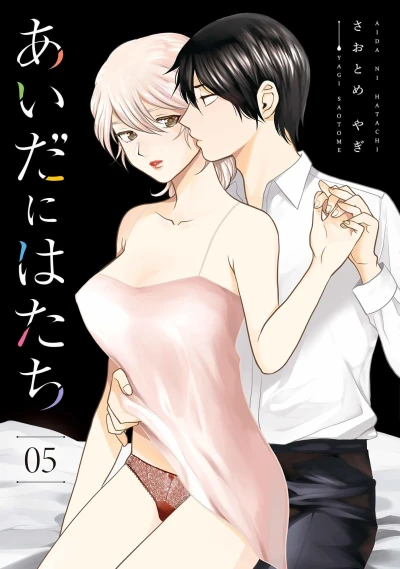 Cover of Vol. 5