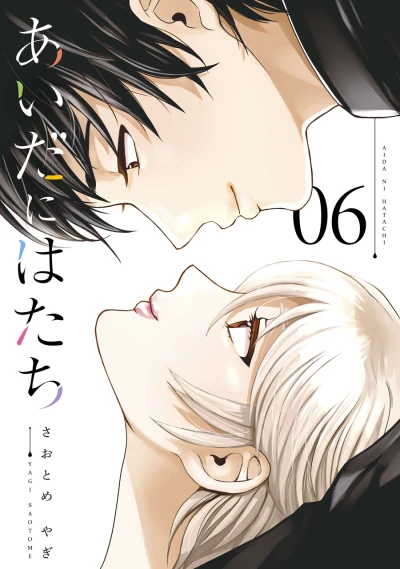 Cover of Vol. 6