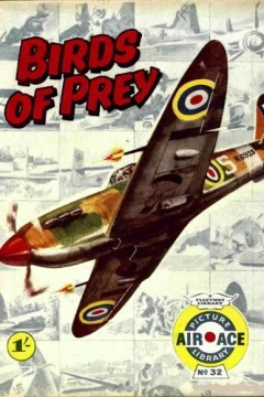 Birds Of Prey