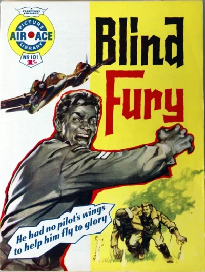 Cover of Blind Fury