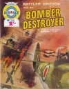 Cover of Bomber Destroyer
