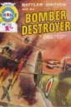 Bomber Destroyer