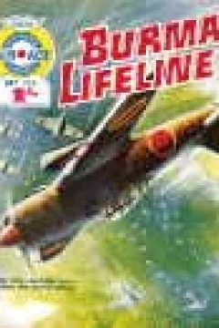 Burma Lifeline
