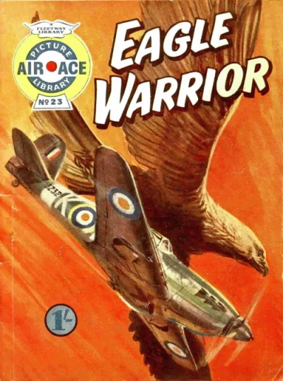 Cover of Eagle Warrior