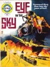 Cover of Eye In The Sky