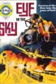 Eye In The Sky