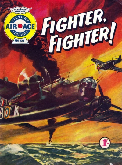 Cover of Fighter, Fighter!