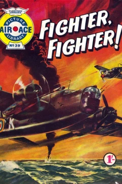 Fighter, Fighter!