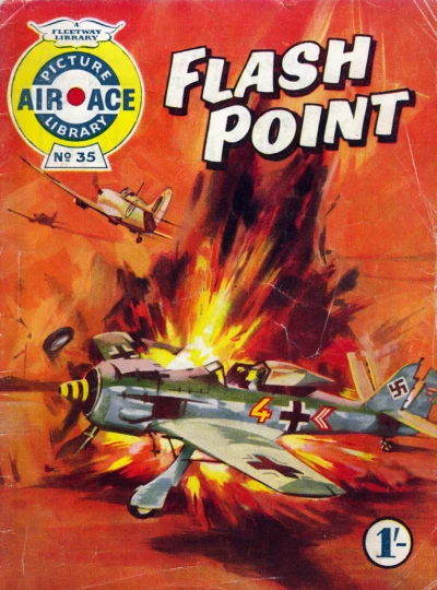 Cover of Flash Point