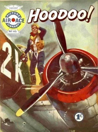 Cover of Hoodoo!
