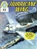 Cover of Hurricane Wing
