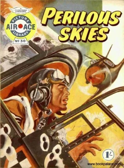 Cover of Perilous Skies