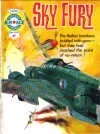 Cover of Sky Fury