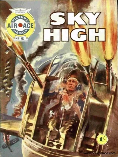 Cover of Sky High