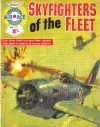 Cover of Skyfighters Of The Fleet