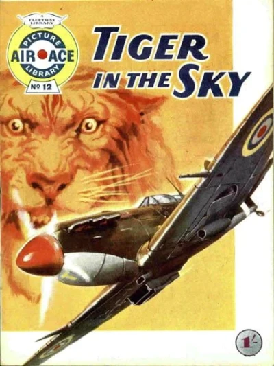Cover of Tiger In The Sky