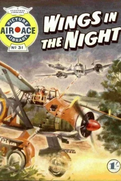 Wings In The Night