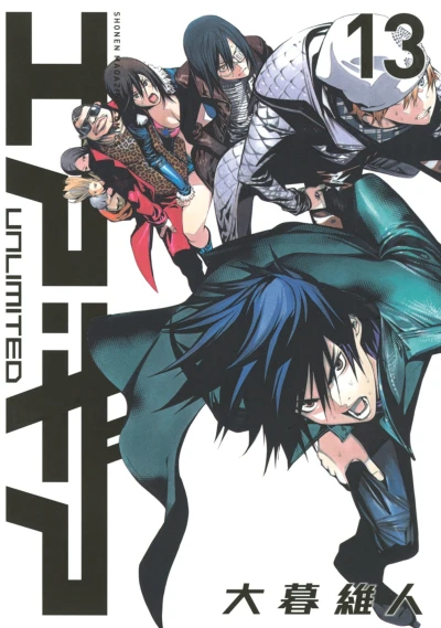 Cover of Vol. 13