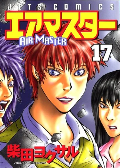 Cover of Volume 17
