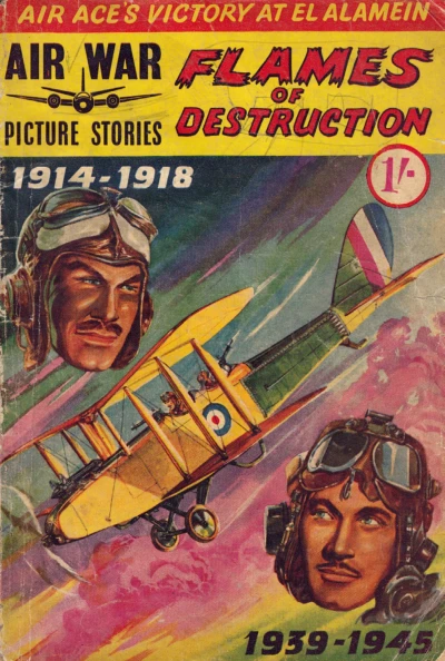 Cover of Flames of Destruction
