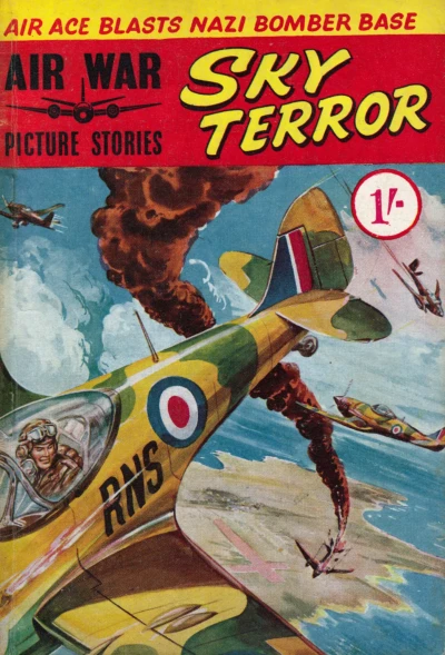 Cover of Sky Terror