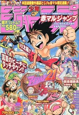 Cover of Summer 2003