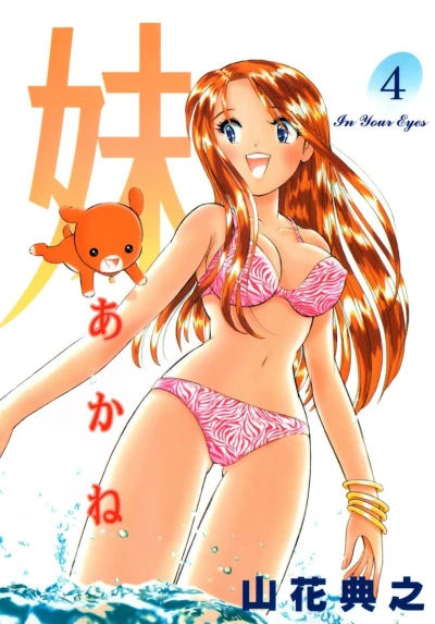 Cover of Vol. 4