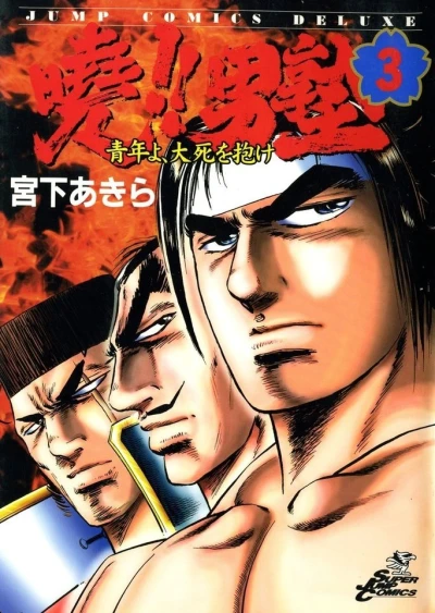 Cover of Vol. 3