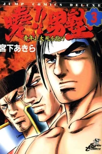 Vol. 3