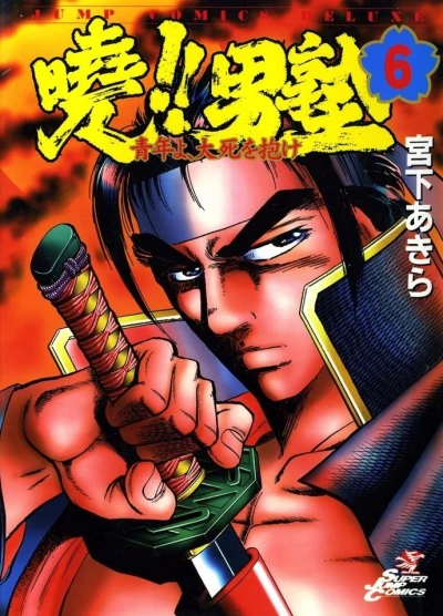 Cover of Vol. 6