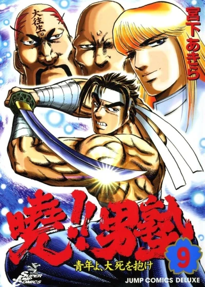 Cover of Vol. 9