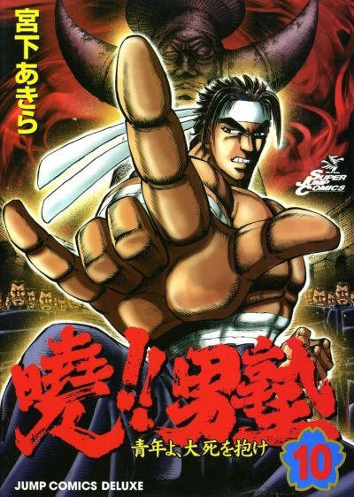 Cover of Vol. 10