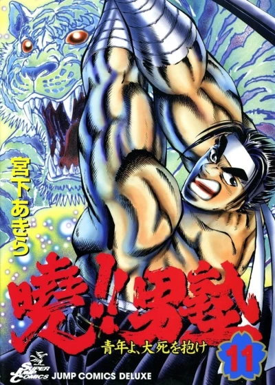 Cover of Vol. 11