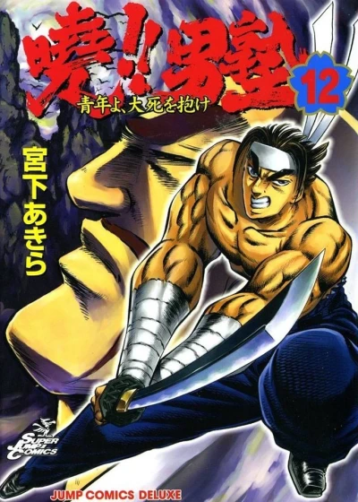 Cover of Vol. 12