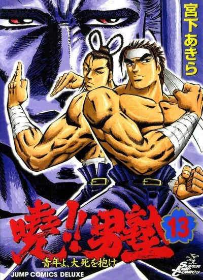 Cover of Vol. 13