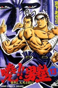 Vol. 13