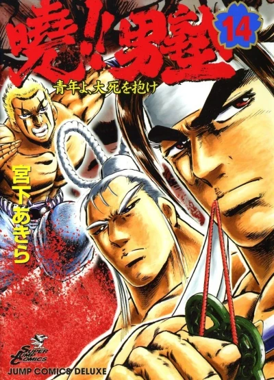 Cover of Vol. 14