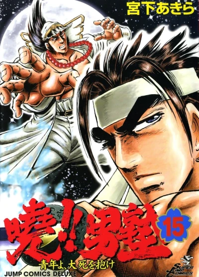 Cover of Vol. 15