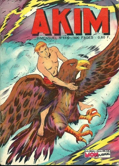 Cover of Issue #111
