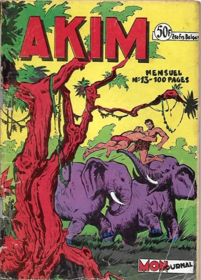 Cover of Issue #13