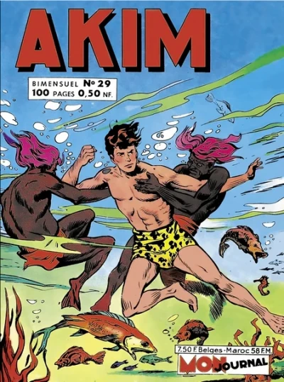 Cover of Issue #29