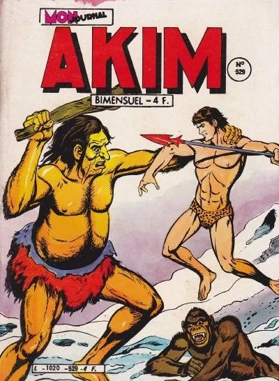 Cover of Issue #529