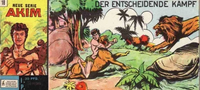 Cover of Der Entscheidende Kampf