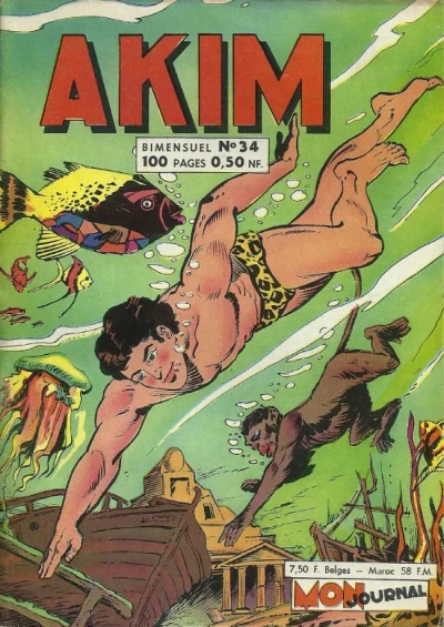 Cover of Le navire pirate