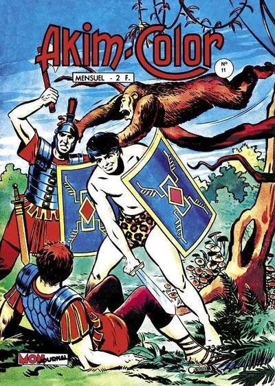 Cover of Issue #11