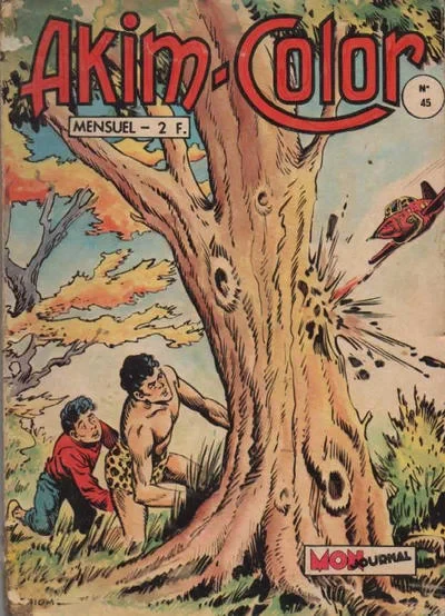 Cover of Issue #45