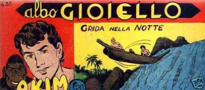 Cover of Grida nella Notte