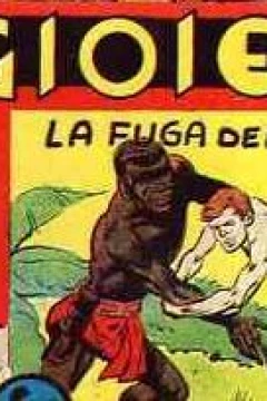La Fuga del Prigioniero